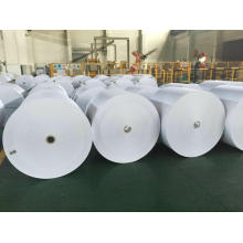 Offset Paper for Printing Books in Reels